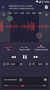 voice recorder pro