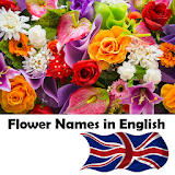 Learn Flower Names in English icon