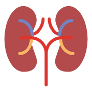 Chronic Kidney Disease (CKD)