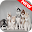 🐕 Husky Wallpapers – Cute Dog Wallpaper Download on Windows
