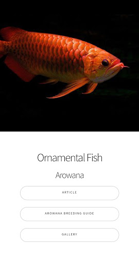 Android application Arowana Fish - Care, Guide screenshort