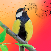 Best Bird Sounds, Calls & Ringtones