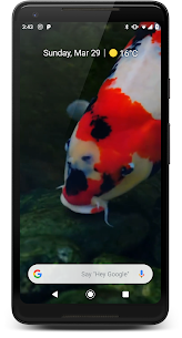 Japanese Koi Fish Wallpaper For PC installation