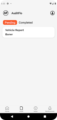 AuditFlo Checklists and Audits