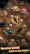The Ants: Underground Kingdom Screenshot