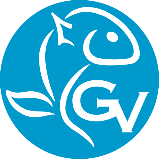 Grupo Videla catálogo-pedidos logo