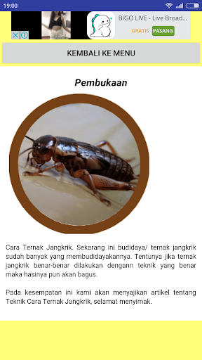 Beternak dan Budidaya Jangkrik Screen 2
