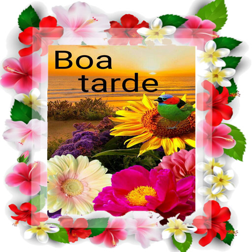 Mensagem Bom dia tarde noite