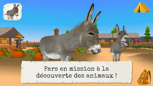 Aperçu de l'application