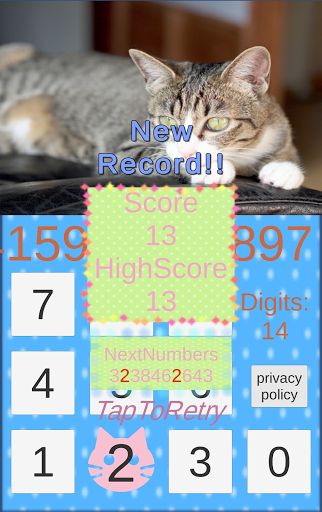 Pi Cat Screen 2