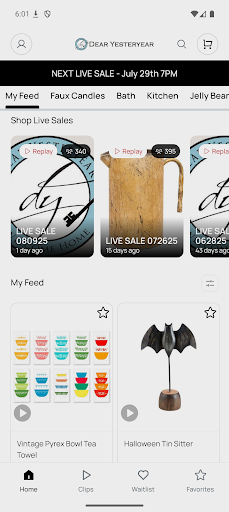 Dear Yesteryear screenshot 1