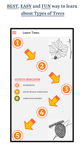 Android application Guess Trees From Leaves screenshort