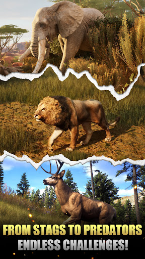 Animal Hunter : Wild Sniper screenshot 2