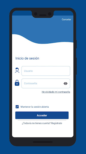 Grupo Alliance Profesional SRV