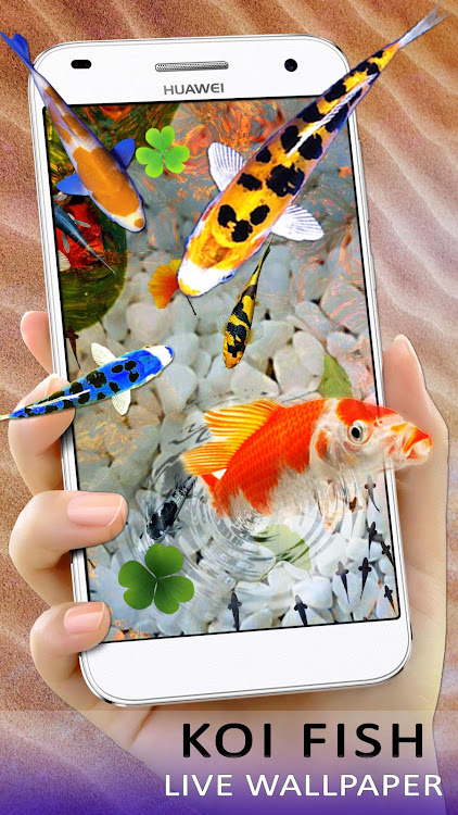 3D Koi Fish Live Wallpaper HD by aimsoft - (Android Apps) — AppAgg