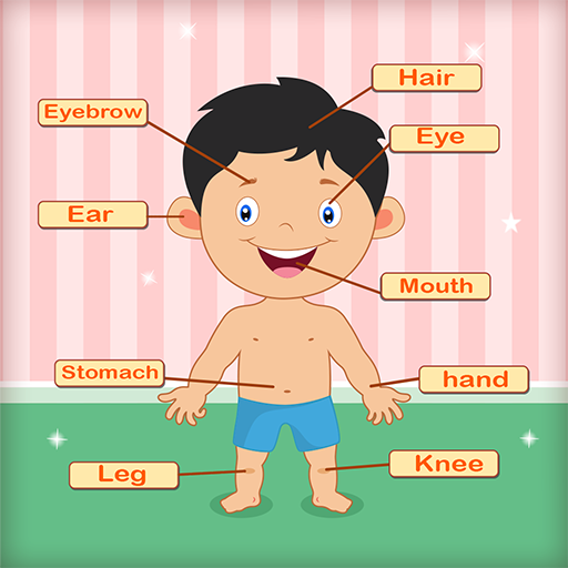 elk contant geld Crack pot About: Human Body Parts Learning for Kids-Preschool Games (Google Play  version) | | Apptopia