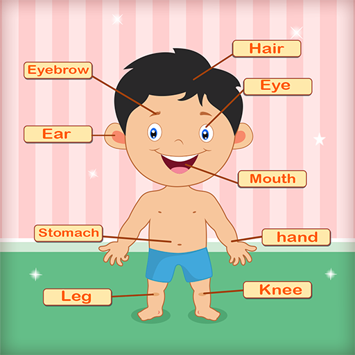 human body parts name with picture for kids