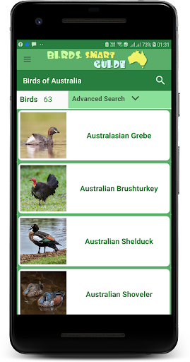Australia Birds ID - Demo Screen 2
