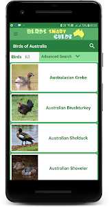 Australia Birds ID - Demo