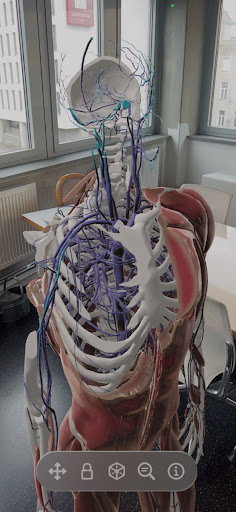 Inside Reality: AR Experience Screen 3