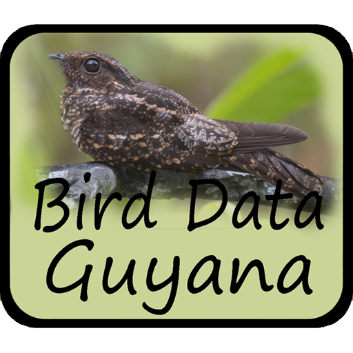 Bird Data - Guyana Bird%20Data%20-%20Guyana%201115 Icon