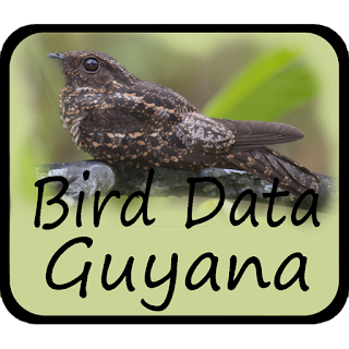 Bird Data - Guyana