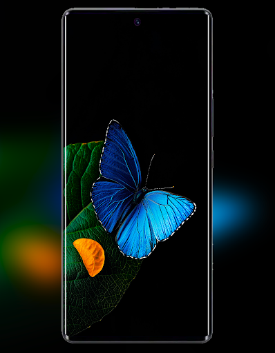 Infinix Note 50 Pro+ Wallpaper Screenshot 4 - AppWisp.com