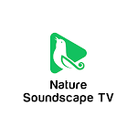 Cover Image of Download Nature Soundscape TV  APK