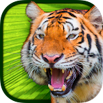 Cover Image of Tải xuống Virtual Reality Animals!  APK