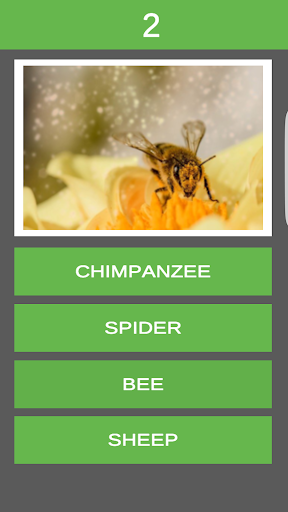 Aprende Ingles Jugando gratis- Nombre de Animales