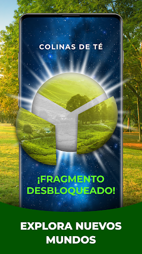 Vista previa de la aplicación