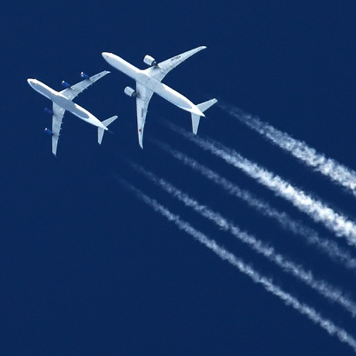 Airport Panic logo