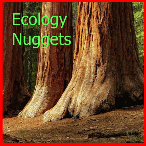 Ecology Nuggets logo