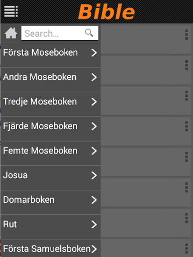 Svenska Folkbibeln (Audio) Screen 2