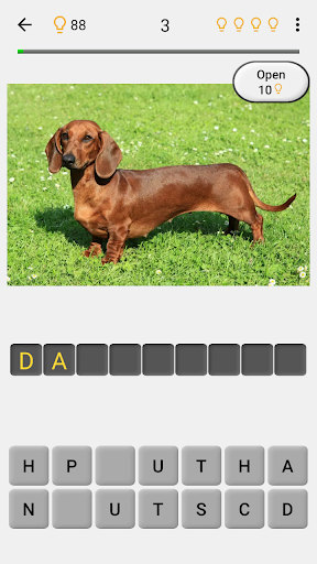 Dogs Quiz - Guess Popular Dog Breeds in the Photos  Screenshots 18