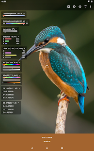 Color Picker Capture d'écran