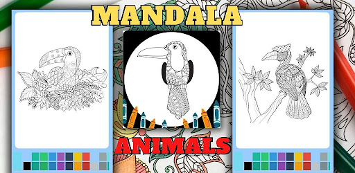 Hornbill Mandala Coloring Book