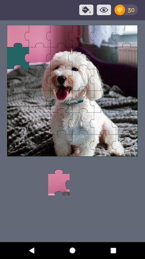 Jigsaw Image Puzzles