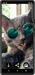 Screenshot 2 Fondos de Gatos Graciosos android
