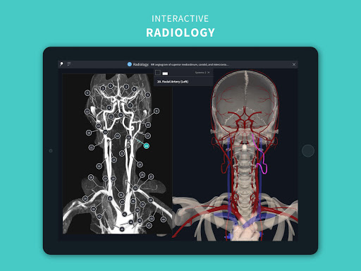 Complete Anatomy u201821 - 3D Human Body Atlas 6.4.0 Screenshots 11
