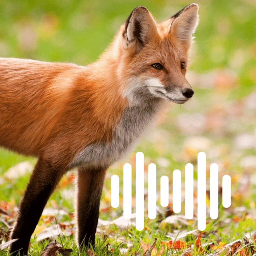 Fox Hunting Calls logo