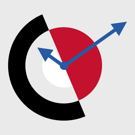RealTimeChoices logo