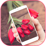 Red Tulip Bloom Aroma Theme icon