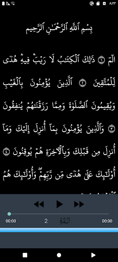 Abdul Mohsen Al Qasim Quran screenshot 2