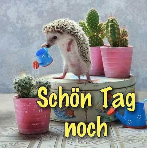 Schönen Tag und Guten Tag  Bilder