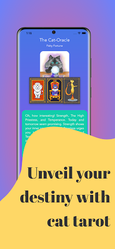 The Cat Consultant Screen 2