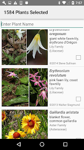 Bc Wildflowers Apps On Google Play