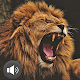 Lion Sounds Download on Windows