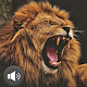 Lion Sounds Install on Windows