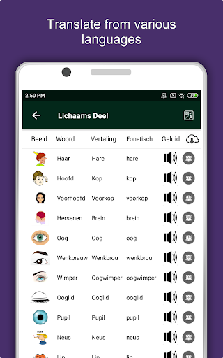 Johannesburg Travel and Explore